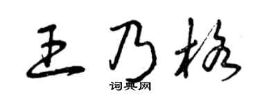 曾庆福王乃格草书个性签名怎么写