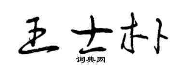 曾庆福王士朴草书个性签名怎么写