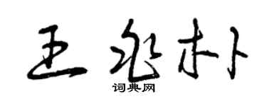 曾庆福王兆朴草书个性签名怎么写