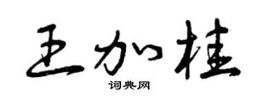 曾庆福王加桂草书个性签名怎么写