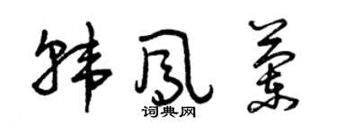 曾庆福韩凤兰草书个性签名怎么写