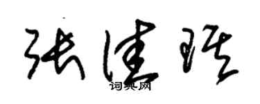 朱锡荣张佳琪草书个性签名怎么写