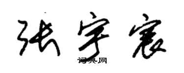 朱锡荣张宇宸草书个性签名怎么写