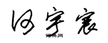 朱锡荣何宇宸草书个性签名怎么写