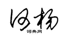 朱锡荣何杨草书个性签名怎么写