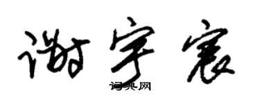 朱锡荣谢宇宸草书个性签名怎么写