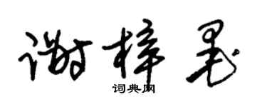 朱锡荣谢梓墨草书个性签名怎么写