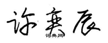 朱锡荣许奕辰草书个性签名怎么写