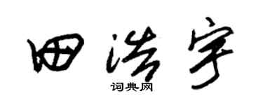 朱锡荣田浩宇草书个性签名怎么写