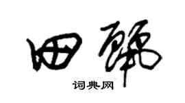 朱锡荣田丽草书个性签名怎么写