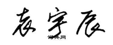 朱锡荣袁宇辰草书个性签名怎么写