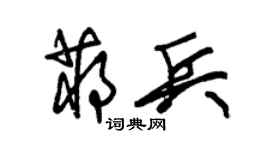 朱锡荣蒋兵草书个性签名怎么写