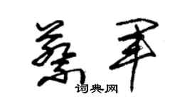 朱锡荣蔡军草书个性签名怎么写