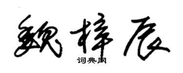 朱锡荣魏梓辰草书个性签名怎么写