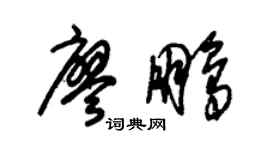 朱锡荣廖鹏草书个性签名怎么写