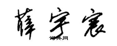 朱锡荣薛宇宸草书个性签名怎么写