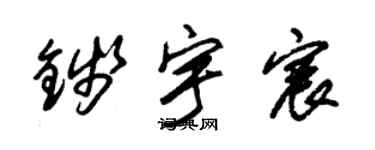 朱锡荣钱宇宸草书个性签名怎么写