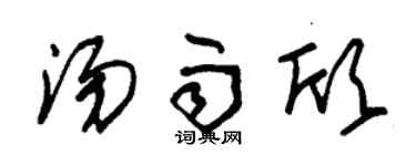 朱锡荣汤雨欣草书个性签名怎么写