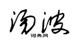 朱锡荣汤波草书个性签名怎么写