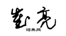 朱锡荣崔亮草书个性签名怎么写