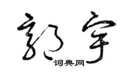 曾庆福郭宇草书个性签名怎么写