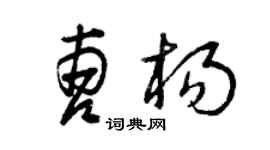 曾庆福曹杨草书个性签名怎么写