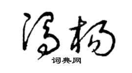 曾庆福冯杨草书个性签名怎么写