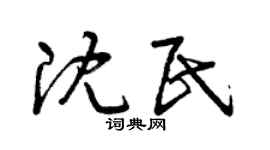 曾庆福沈民草书个性签名怎么写