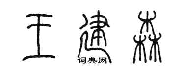 陈墨王建森篆书个性签名怎么写