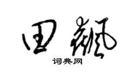 梁锦英田飙草书个性签名怎么写