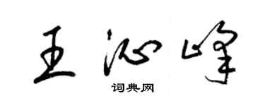 梁锦英王沁峰草书个性签名怎么写