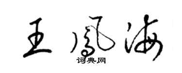 梁锦英王凤海草书个性签名怎么写