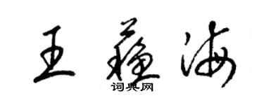 梁锦英王苏海草书个性签名怎么写