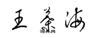 梁锦英王叶海草书个性签名怎么写