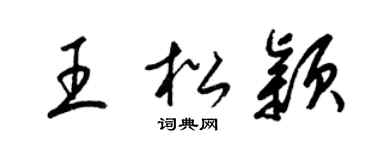 梁锦英王松颖草书个性签名怎么写