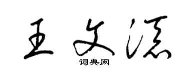 梁锦英王文添草书个性签名怎么写