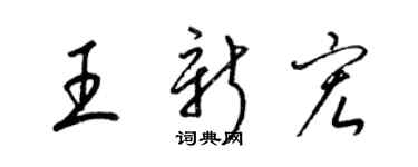 梁锦英王新宏草书个性签名怎么写