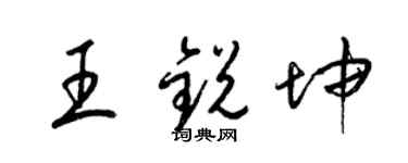 梁锦英王锐坤草书个性签名怎么写