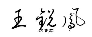 梁锦英王锐凤草书个性签名怎么写