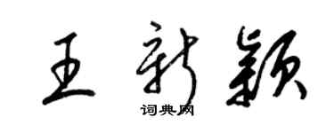 梁锦英王新颖草书个性签名怎么写