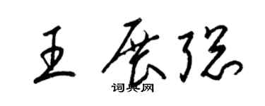 梁锦英王展聪草书个性签名怎么写