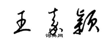 梁锦英王嘉颖草书个性签名怎么写