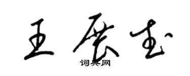 梁锦英王展武草书个性签名怎么写