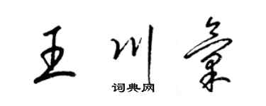 梁锦英王川汇草书个性签名怎么写