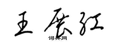 梁锦英王展红草书个性签名怎么写