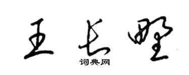 梁锦英王长野草书个性签名怎么写