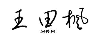 梁锦英王田枫草书个性签名怎么写