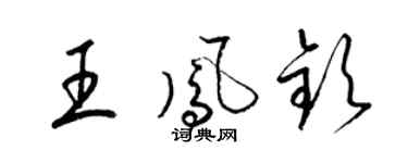 梁锦英王凤钦草书个性签名怎么写