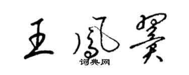 梁锦英王凤翼草书个性签名怎么写