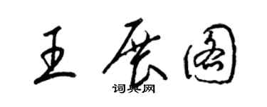 梁锦英王展图草书个性签名怎么写